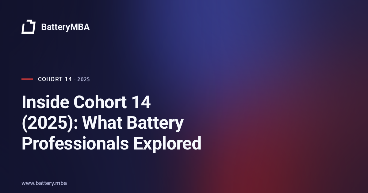 Inside Cohort 14 (2025): What Battery Professionals Explored